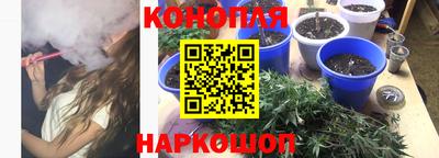 прущие крисы Рязань