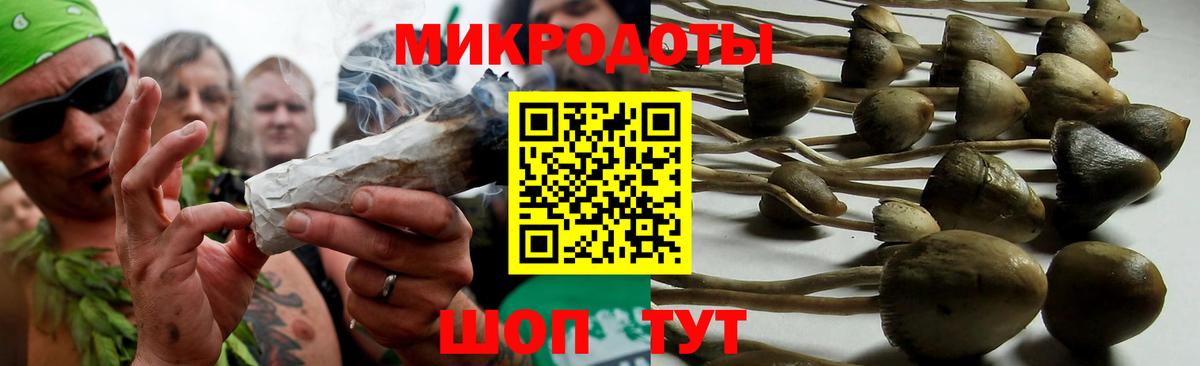 Серов  даркнет сайт  Вход с VPN  Галлюциногенные грибы прущие грибы 